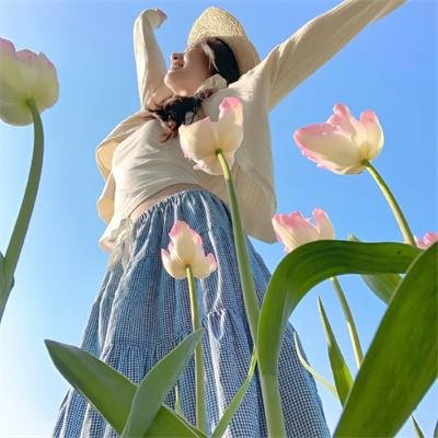干支魂:猫客万来