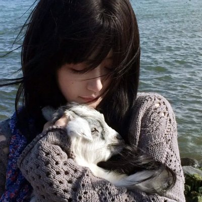流金故梦